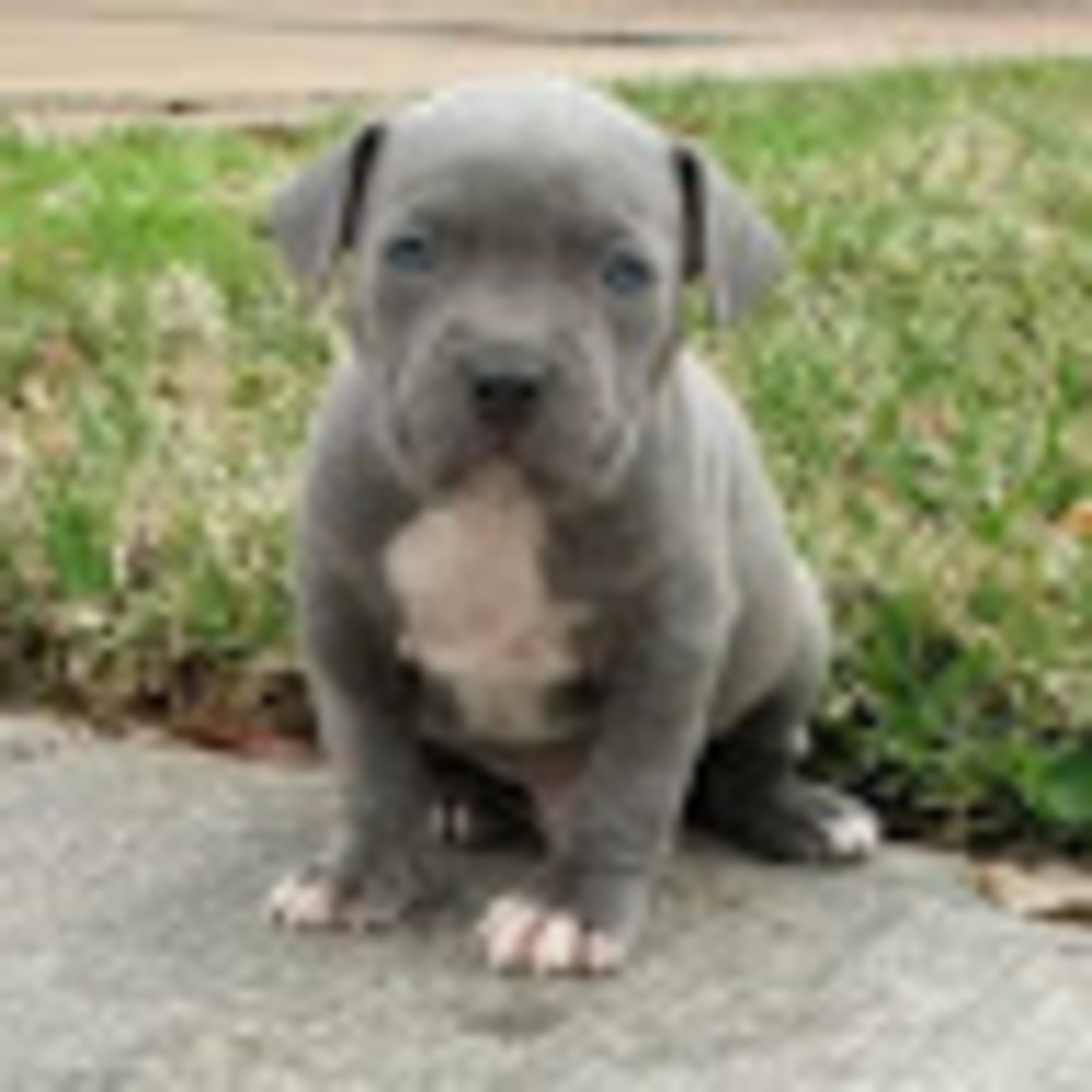 Meet your Posher, Lillian